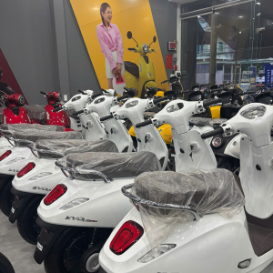 showrom cửa hàng